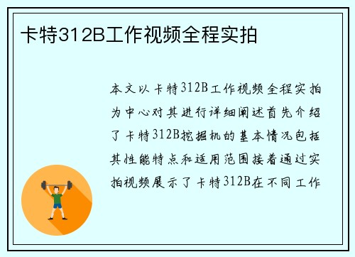 卡特312B工作视频全程实拍