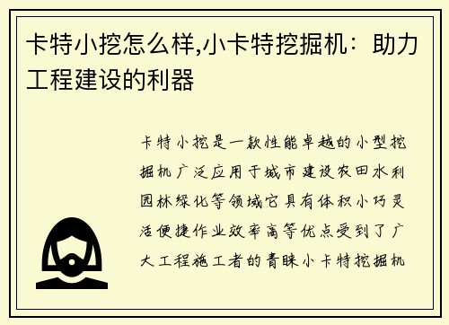 卡特小挖怎么样,小卡特挖掘机：助力工程建设的利器